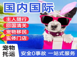 昆冈机场快递国际宠物托运 【国